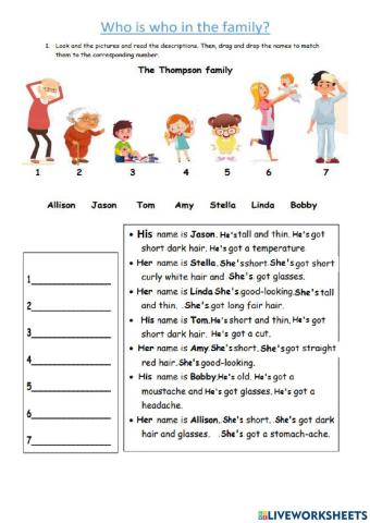 What does she-he look like?