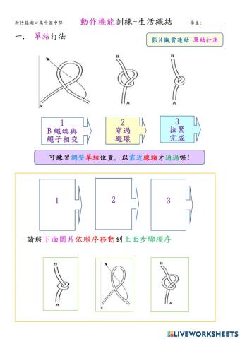 動作機能訓練-生活繩結-單結與活結