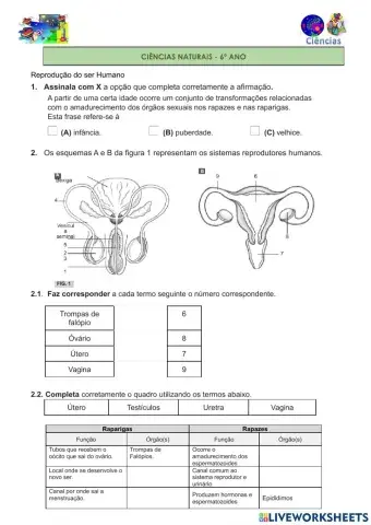 Teste sobre reprodução do ser humano e das plantas