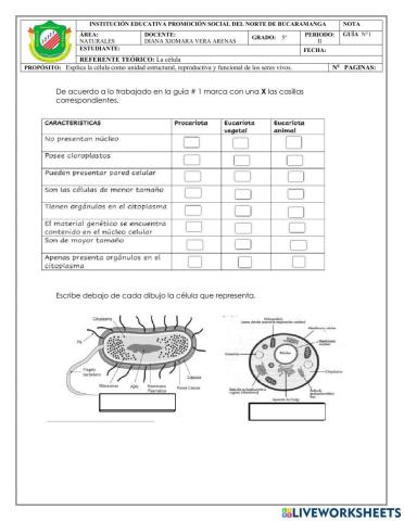 Célula procariota y eucariota