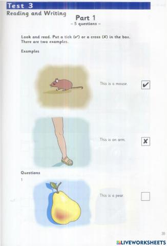 Starters - Test 3 - Book 3 - Reading + Writing
