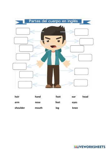 Las partes del cuerpo