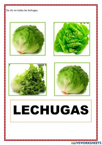 Vocabulario lechuga