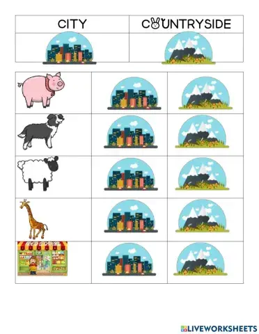 City ando countryside