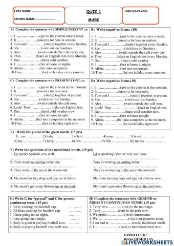 Summer studies 1-TED-2022