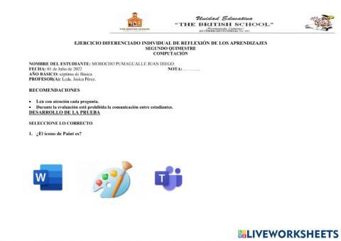 Ejercicio diferenciado individual de reflexión de los aprendizajes  segundo quimestre