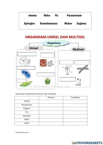 Organisma Unisel & Multisel