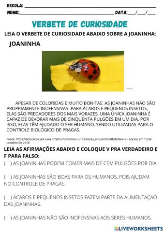 Verbete de curiosidade - joaninha
