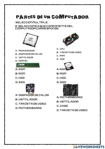 Partes del computador
