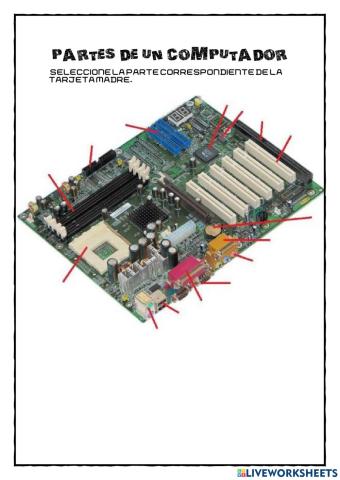 Partes del computador