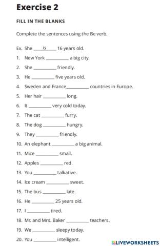 01-Simple-Present-Be-US-1