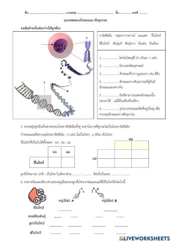 พันธุกรรม