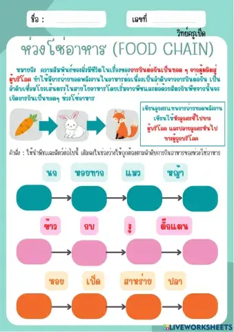 ห่วงโซ่อาหาร
