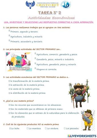 Los sectores económicos