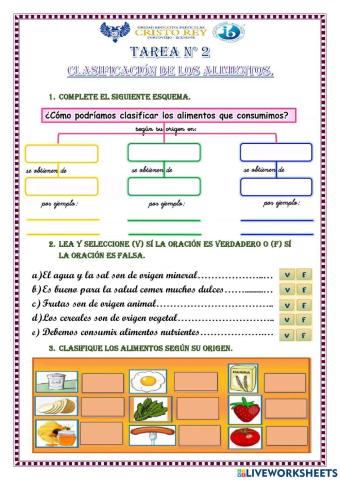 Clasificación de los alimentos por su función y origen