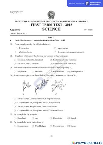 Grade 6 -First term Test - EM