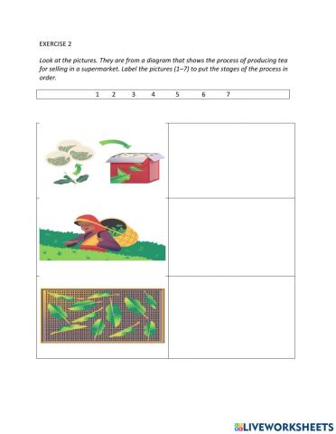 IE1, Unit 1, Writing, Exercise 2