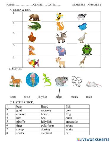 Starters - animals 2