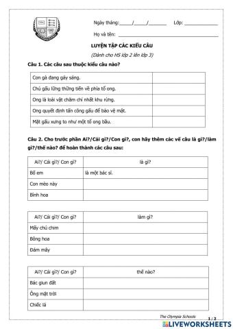 Ôn tập các kiểu câu