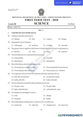 Garde 8- First term Test