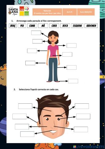 Parts del cos i de la cara