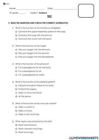 Test - Human Body Systems