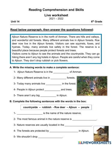 Reading Comprehension and Skills worksheet