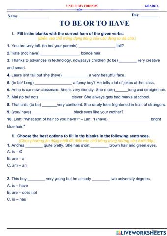 English 6 - Unit 3 - tobe or to have for description