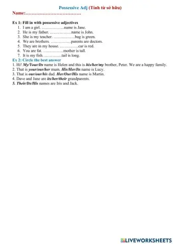 Possessive Adjectives