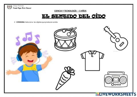 Los sentidos :el oido