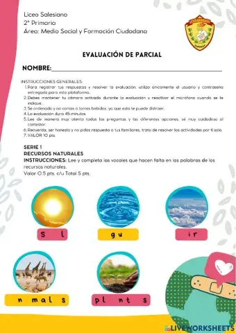 Evaluación Parcial Medio Social