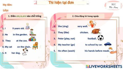 Thì hiện tại đơn