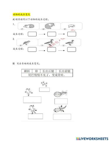 2年级科学 动物成长的变化