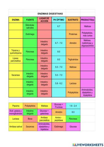 Enzimas Digestivas