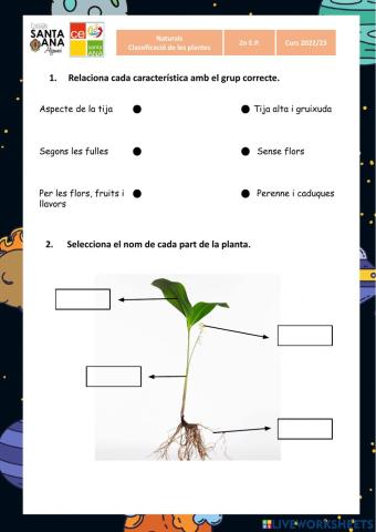 Parts i tipus de plantes