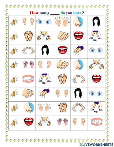 Body Parts Quantities