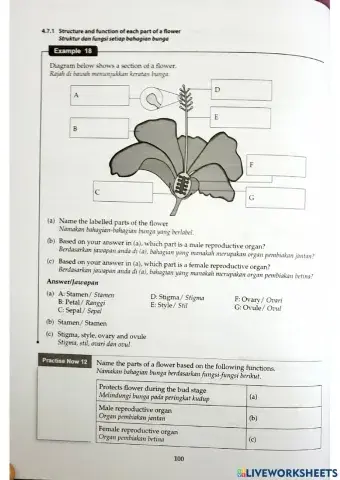 Sains Tingkatan 1 Bab 4 4.7 Plant Reproduction