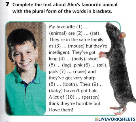 Plural forms of Nouns : Grammar: Gap fillings