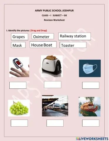 GK Revision Worksheet