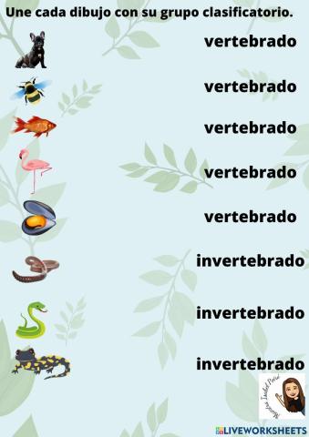 Animales vertebrados e invertebrados
