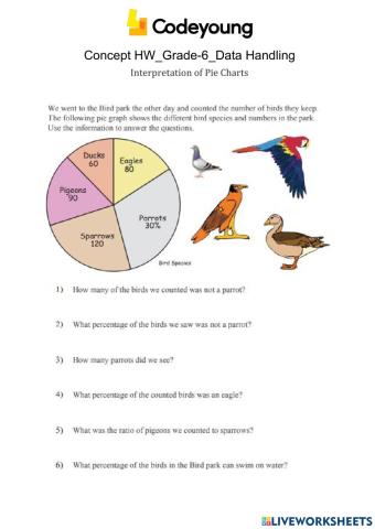 Interpretation of Pie Charts Concept HW