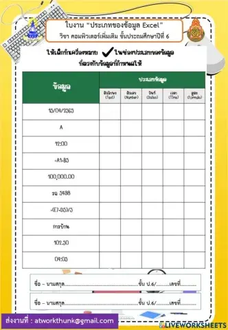 ประเภทข้อมูลเอกซ์เซลล์
