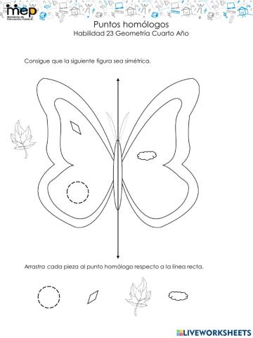 Simetría.  Puntos homólogos.