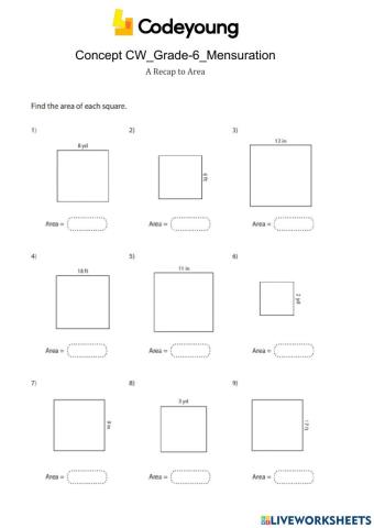 A Recap to Area Concept CW