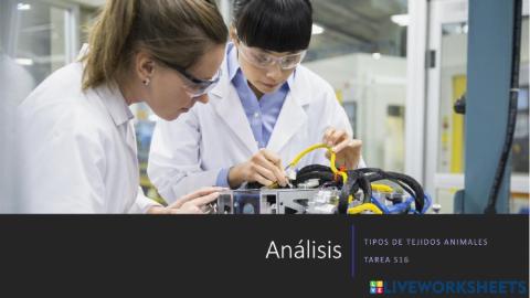 Los tejidos anilames