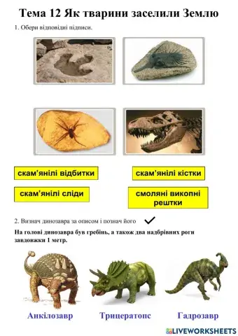 Як тварини заселили Землю