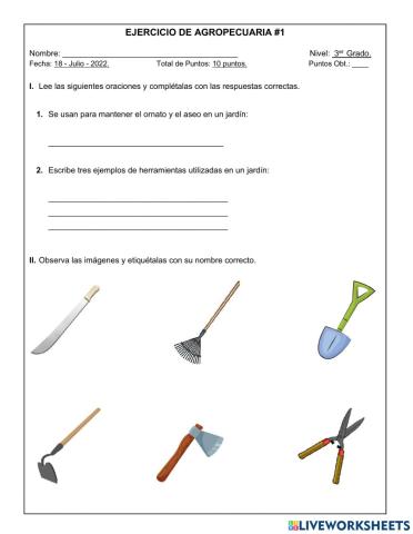Herramientas Manuales de la Jardinería