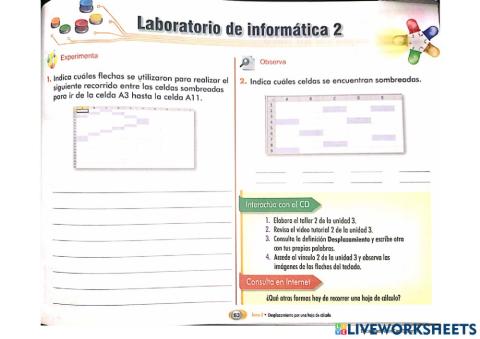 Taller Celdas Excel o Google Sheet