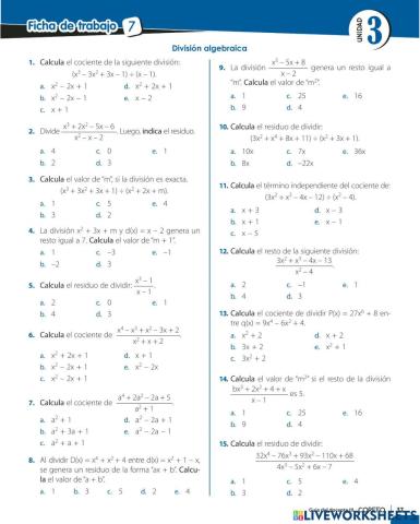 Division algebraica