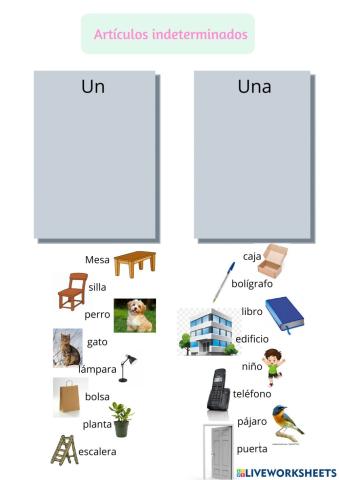 Artículos indeterminados